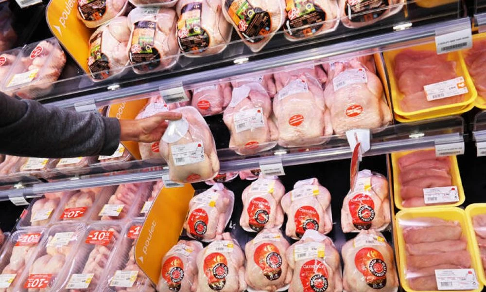 Τελικά τι τρώμε; Έρευνα αποκαλύπτει ότι το 95% των κοτόπουλων από τα σουπερμάρκετ είναι μολυσμένα